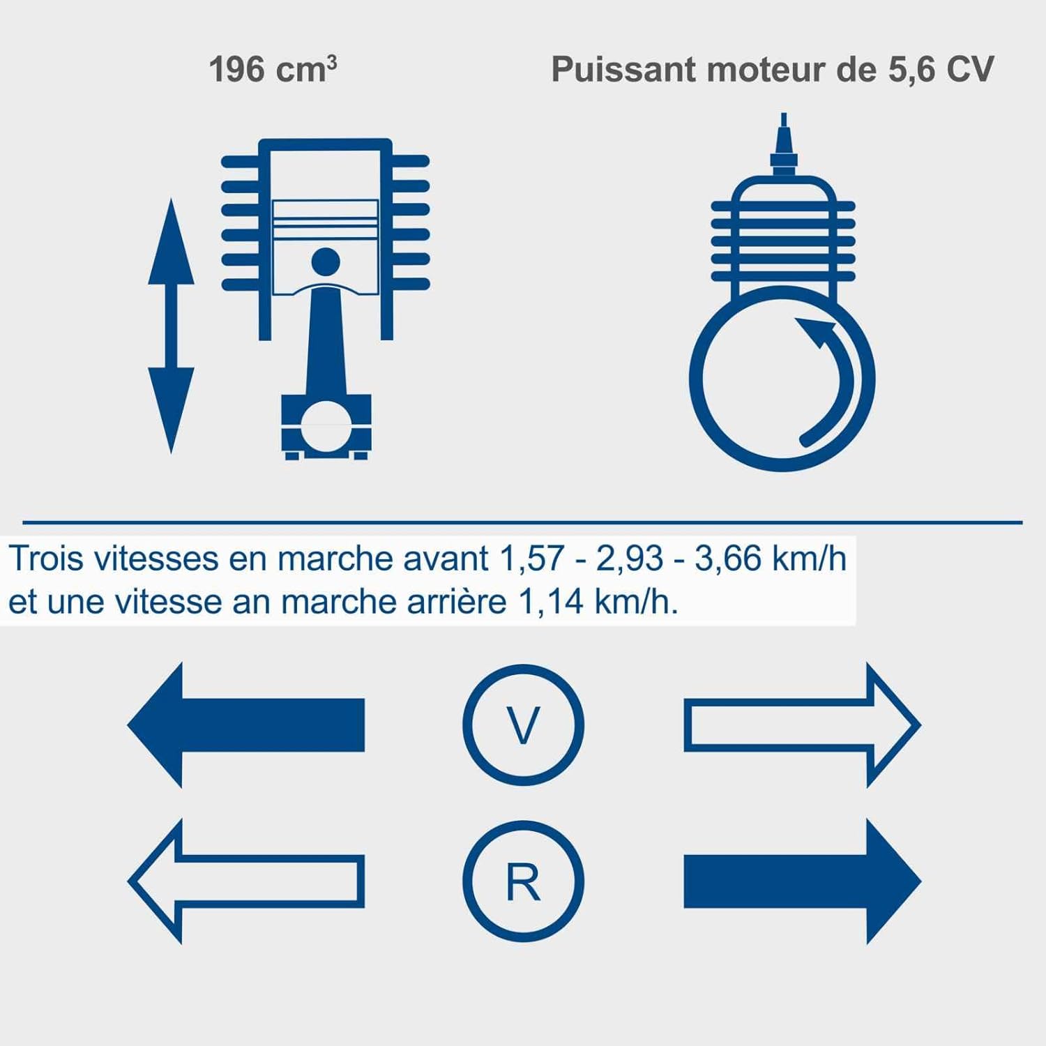 Scheppach Dumper - Benne motorisée Thermique sur chenilles DP5000 | Charge maximale de 500kg | 5,5 CV | Moteur 4T de 196cm3 | 3X Marche Avant / 1x Marche arrière | Benne basculante | Brouette
