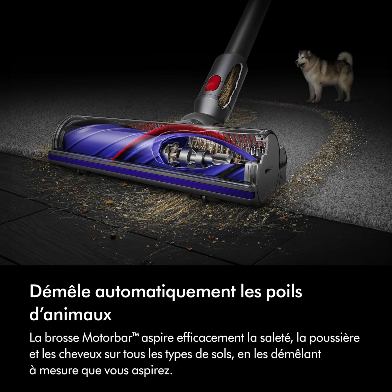 V8 Advanced Aspirateur sans Fil, 130 AW, Jusqu’à 40 Min d’autonomie, Brosse Motorbar Anti-enchevêtrement, élimine Les Poils d’Animaux, aspirateur à Main et Sol