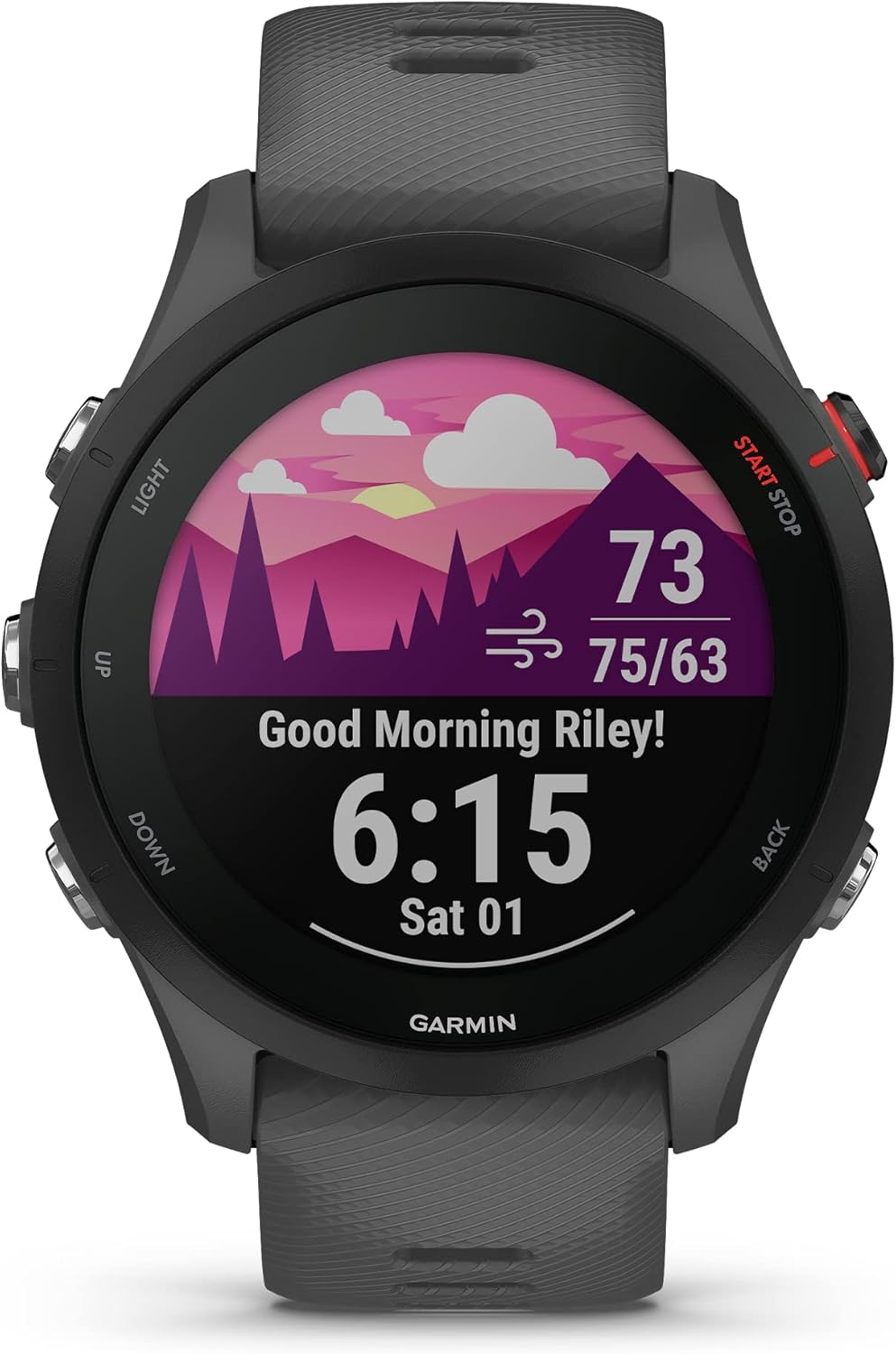Garmin Forerunner 255 Montre intelligente GPS de course à pied, Advanced Insights, batterie longue durée, gris ardoise, 46 mm