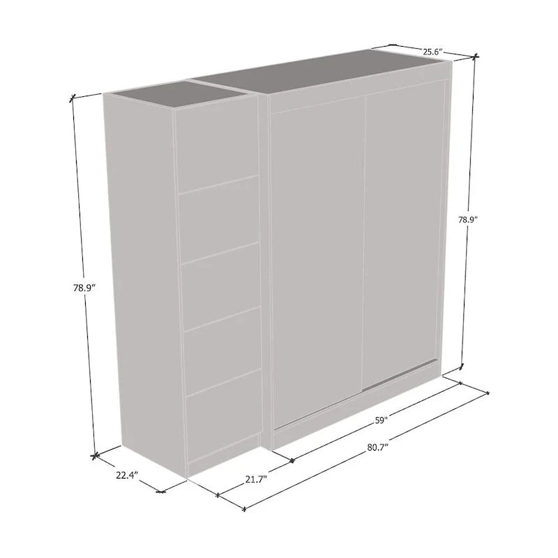 2-Door Wardrobe with Mirror, Glass Front, 2-Person (Gray / Black / White)