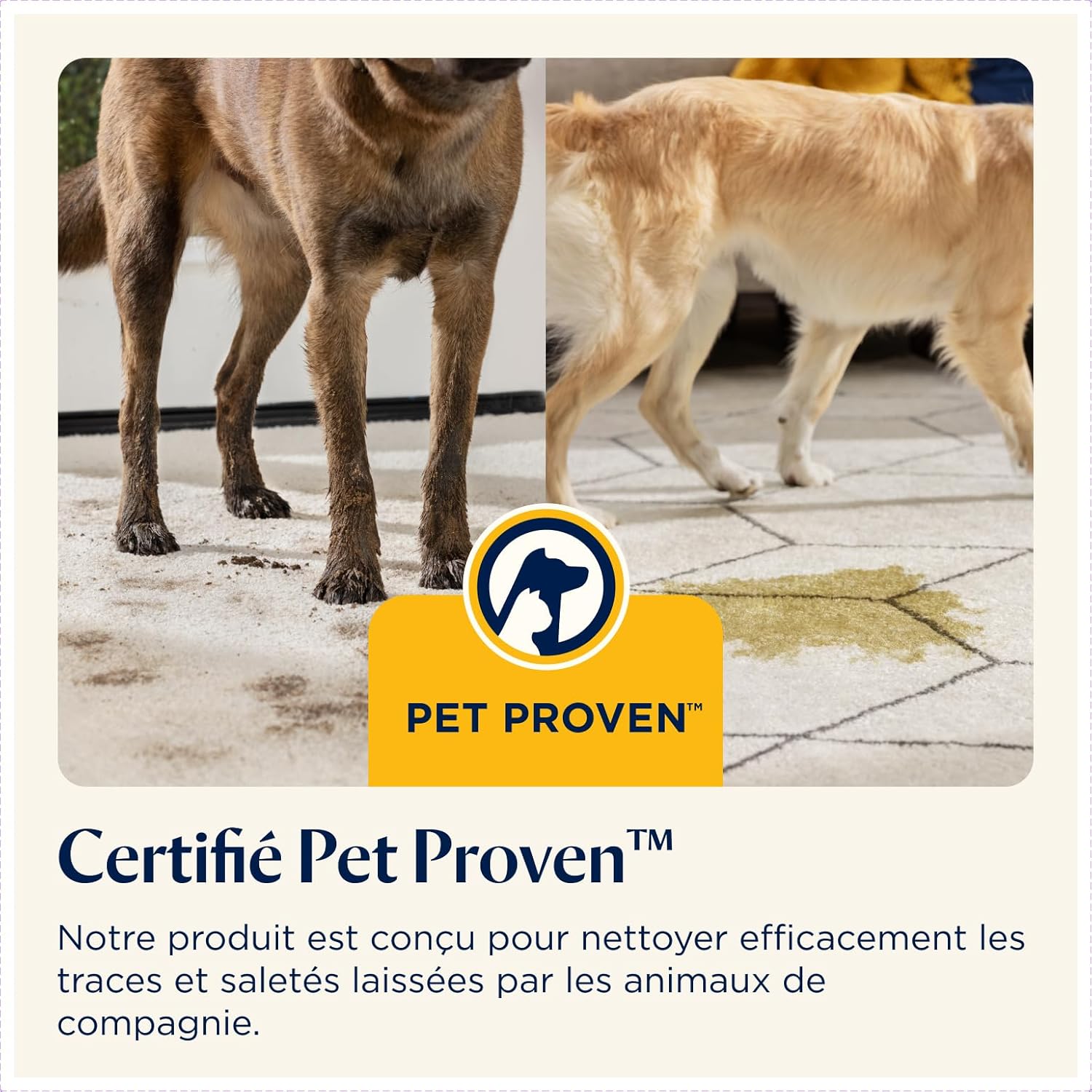 BISSELL SpotClean Pet Pro, Shampouineuse Canapé, Moteur Puissant de 750W, Idéal pour les Propriétaires d'Animaux, Nettoyeur pour Tapis, Moquettes, Meubles, Tissus, Voiture & Plus Encore, 15585