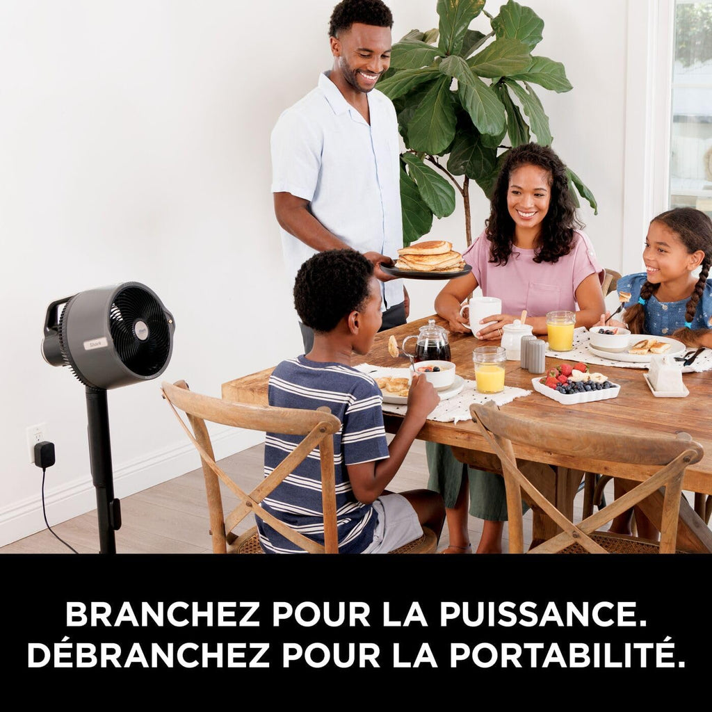 Shark FlexBreeze Pro Mist Ventilateur intérieur/extérieur sans fil, Brumisateur portable, Portée 20 m, Sur pied ou de table, 5 vitesses, Silencieux, Télécommande, Gris Charbon FA300EU