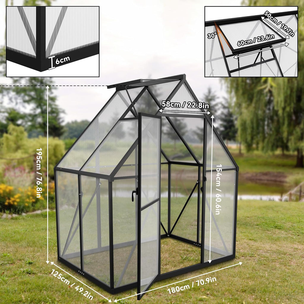 Froadp serre de jardin en aluminium avec fondation, 125 × 180 × 195 cm, polycarbonate 4 mm, résistante aux intempéries, avec fenêtres