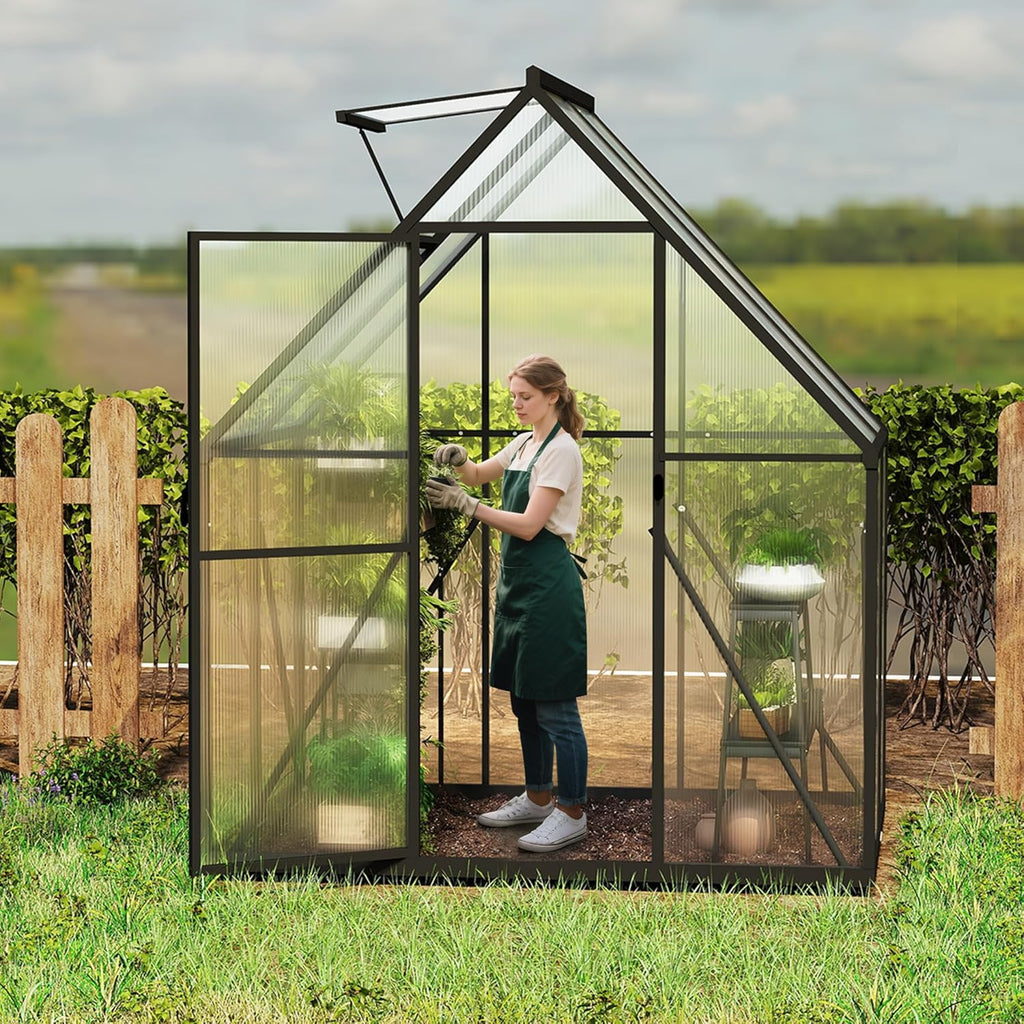 Froadp serre de jardin en aluminium avec fondation, 125 × 180 × 195 cm, polycarbonate 4 mm, résistante aux intempéries, avec fenêtres