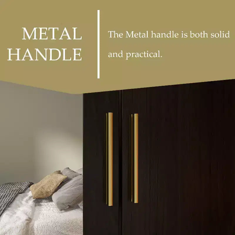 Hitow Armoire 2-Large Drawer Center Hanging Area with Mirror Minimalist Style