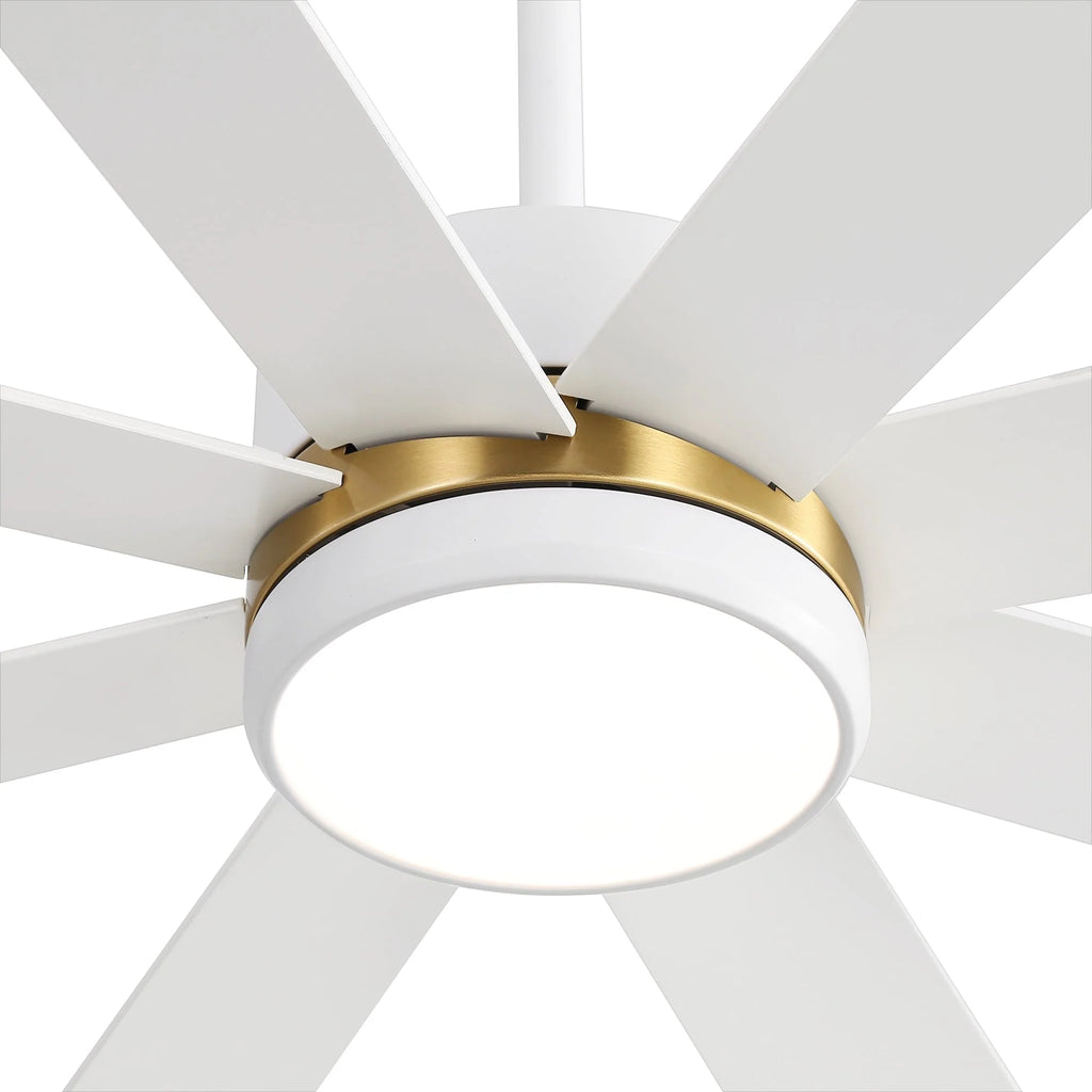 65 Inch 8-Blade Black LED Ceiling Fan with Light and Remote