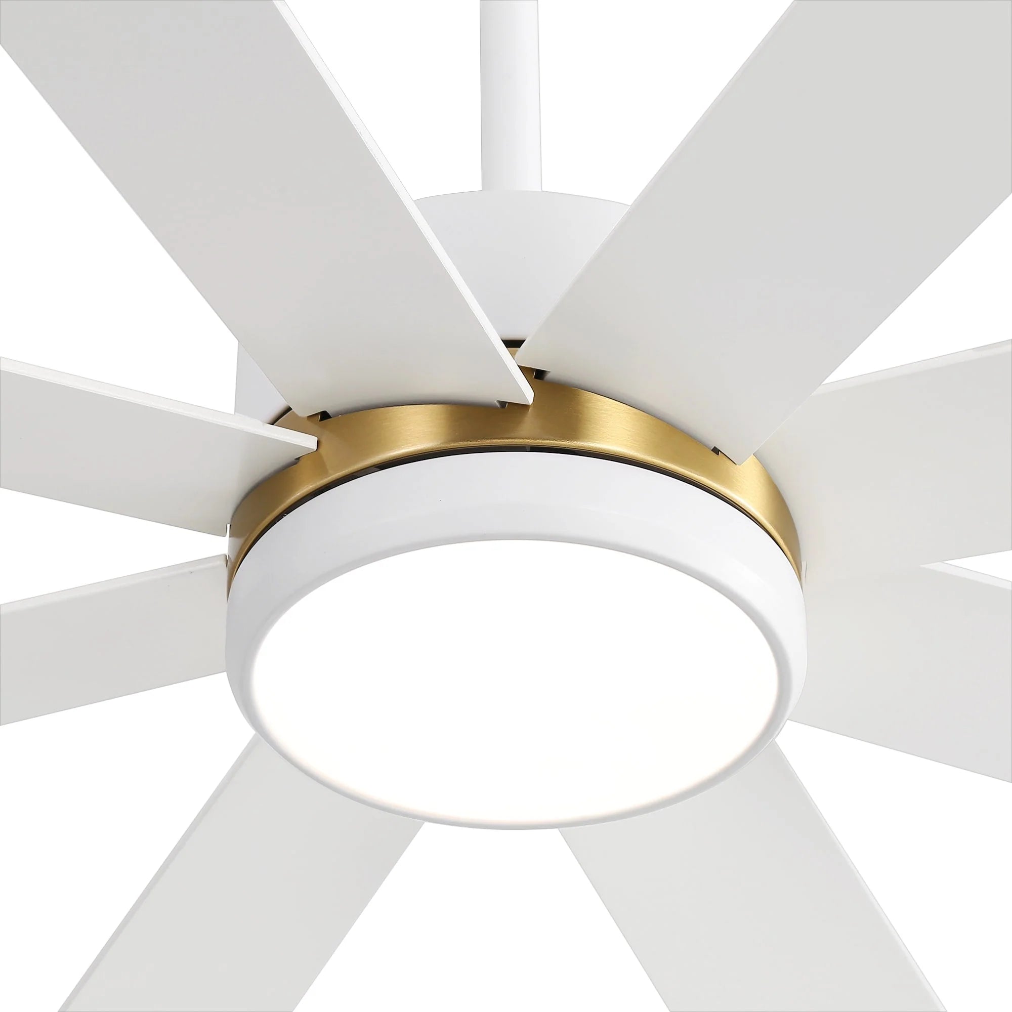 65 Inch 8-Blade Black LED Ceiling Fan with Light and Remote